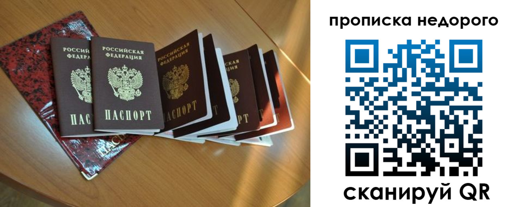 прописка штамп в Камышине